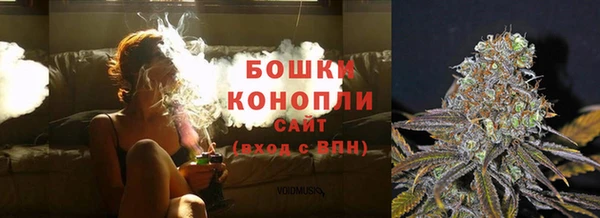 хмурый Бородино