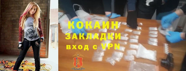 хмурый Бородино