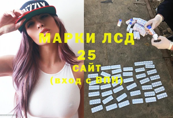 хмурый Бородино