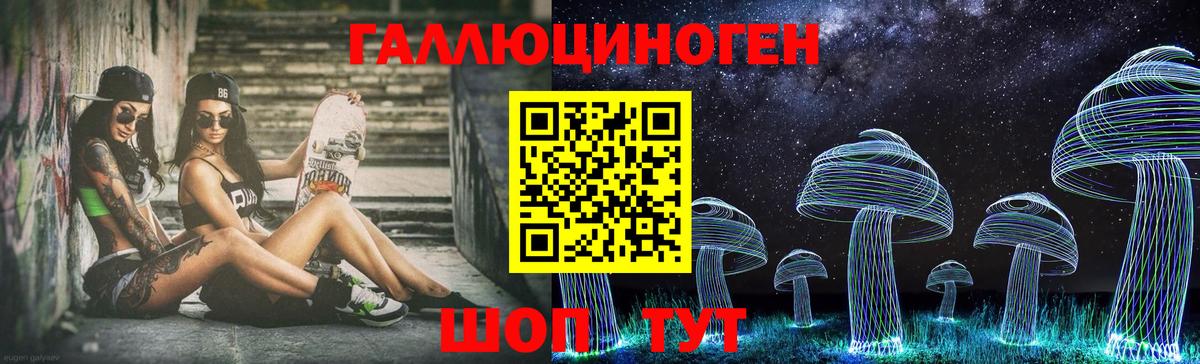 Галлюциногенные грибы Psilocybine cubensis Вязники