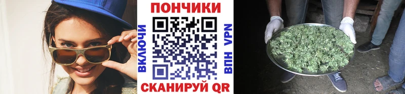 Бошки марихуана Amnesia Вязники